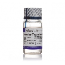 Insulin, Transferrin, Selenium Solution (ITS -G), 100X 貨號： 41400045 現貨